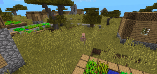 1388582293: Larger Village