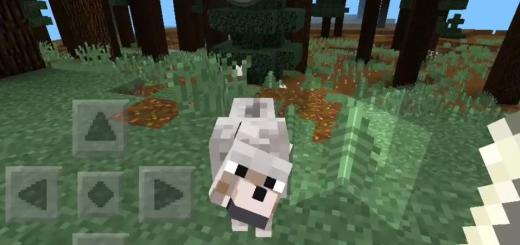 ineedtogasmypantsoff: Wolves Nearby of a Snow Biome