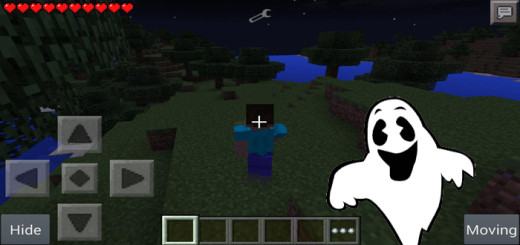 Ghost Mode