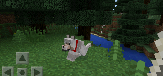 1425890811: Wolf Pack