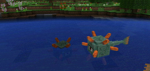 WaterDungeonPE