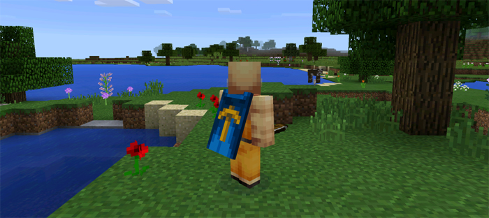 What are the purpose of Minecraft capes?