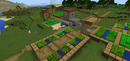 170: Double Village At Spawn