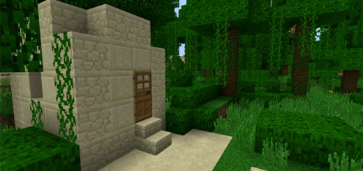 twins: Half Jungle Village