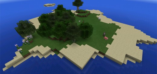 750505317: Two Survival Islands