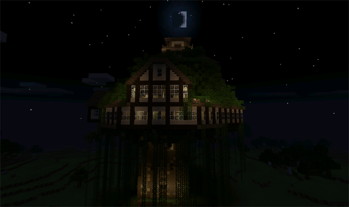 Mega Tree House