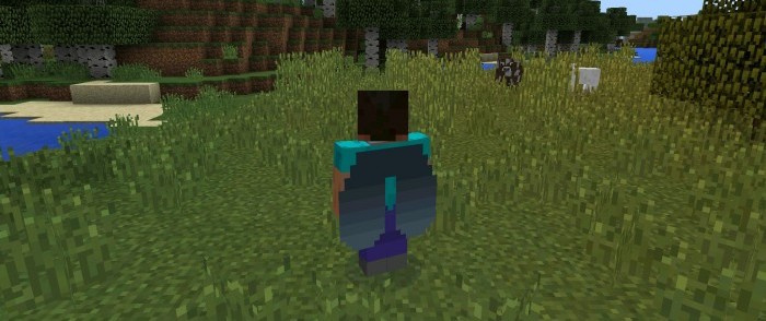 elytra2