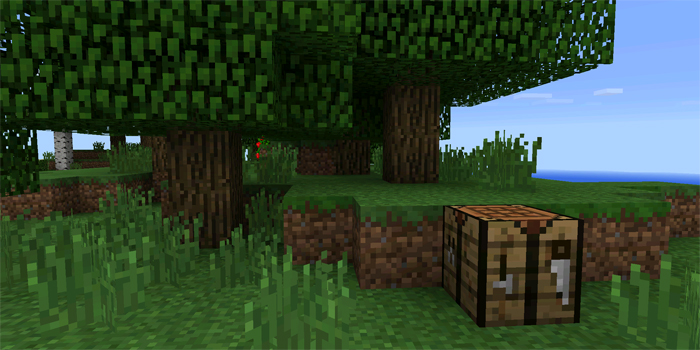 mushroom3