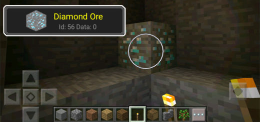 Waila PE Mod