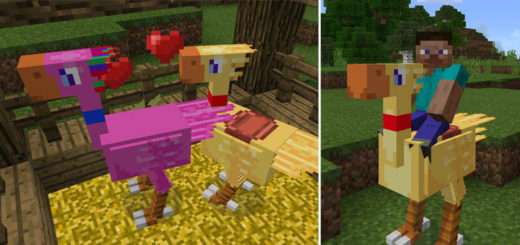 ChocoCraft PE Mod