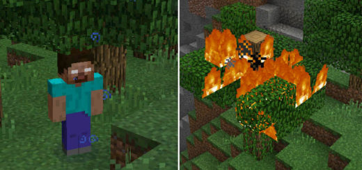 Herobrine Mod