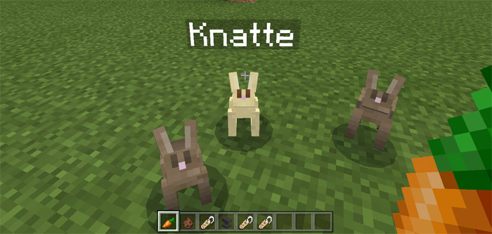 Tameable Rabbits Addon Minecraft Pe Mods Addons