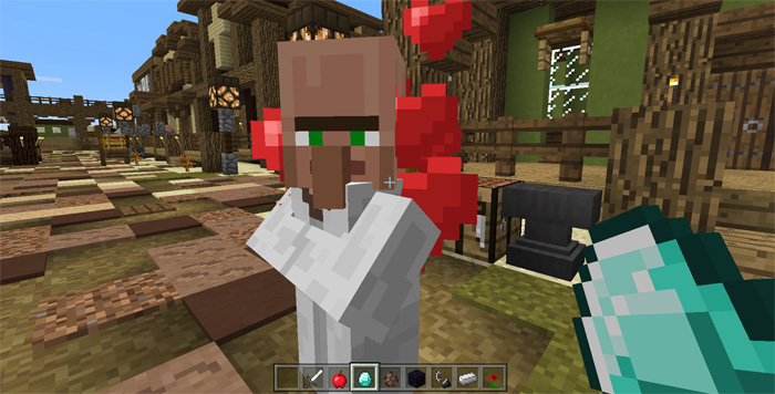 Villager Companion Addon Minecraft PE Mods Addons