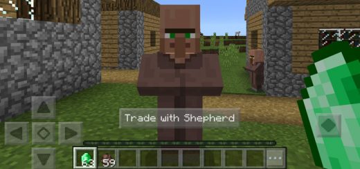 Trade With Villager Add-on