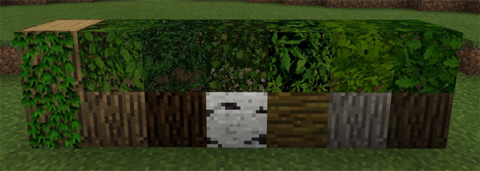 minecraft grass texture 16x16