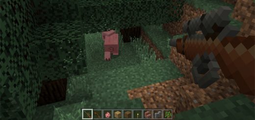 The Hunter MCPE Addon