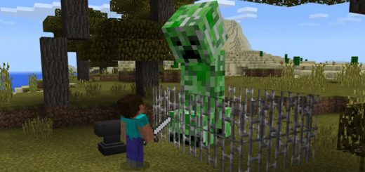 Mine-NameTagBoss Addon