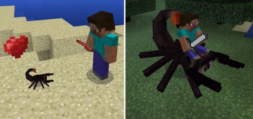 Scorpions Add-on