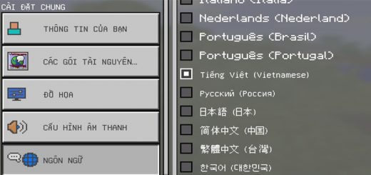 Vietnamese Translation Pack