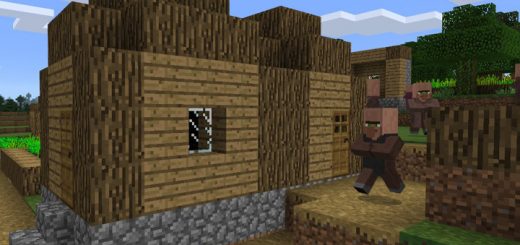 -102839823: Small Glitched Village