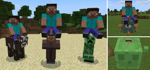 All Mobs Rideable Addon