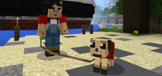 The Pug Addon