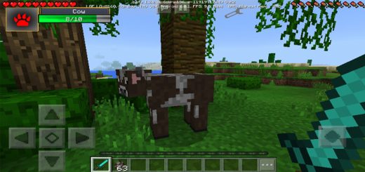 Damage Indicator Mod (Android)