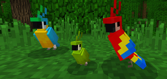 Baby Parrots Addon Minecraft Pe Mods Addons