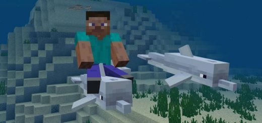 Dolphin Riding Addon