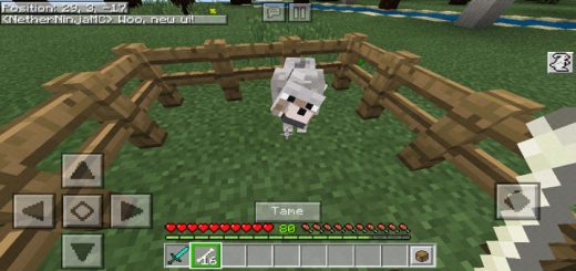 HudUI+ Resource Pack