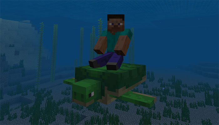 Can You Ride Turtles In Minecraft