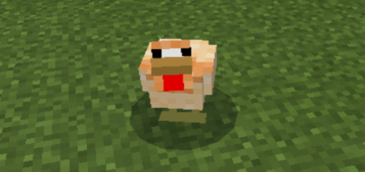Painted Chickens Add-on