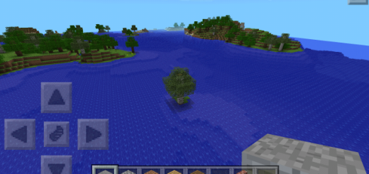 106854229: One Mushroom Island & One Survival Island 