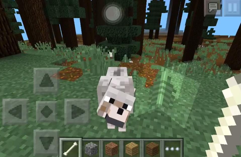 ineedtogasmypantsoff: Wolves Nearby of a Snow Biome | Minecraft PE Seeds