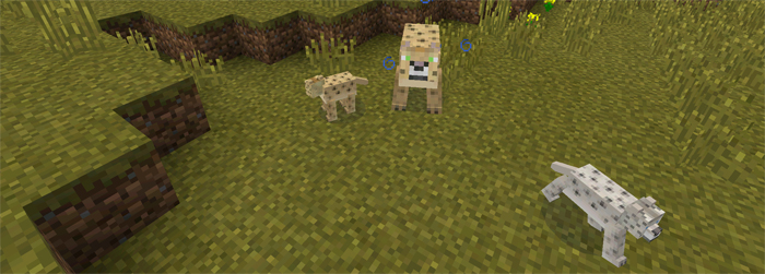 Pocket Creatures Mod | Minecraft PE Mods & Addons