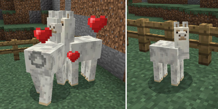 how to ride a llama in minecraft