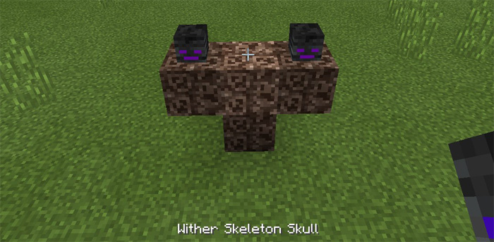 Skeleton Minecraft Dragon Skull