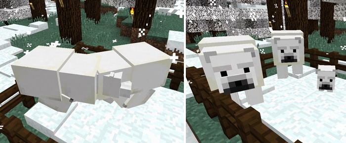 How To Breed Polar Bears In Minecraft