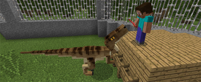 raptors-addon-3