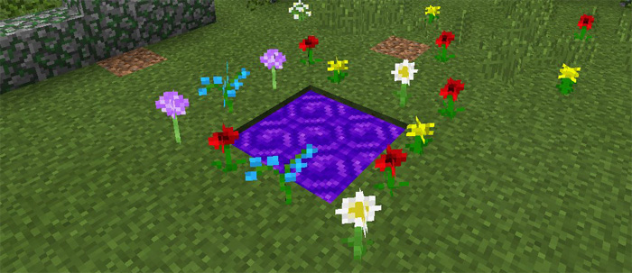 Twilight Forest Addon (Map) | Minecraft PE Mods & Addons