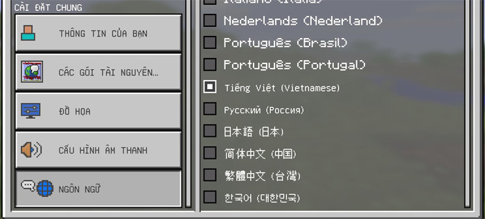 minecraft language translation tool