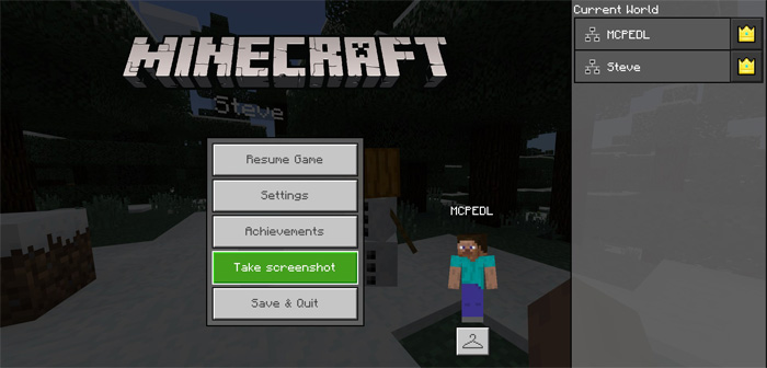 Minecraft screenshot folder