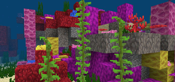 -1231215285: Huge Coral Biome At Spawn (Beta Only) | Minecraft PE Seeds