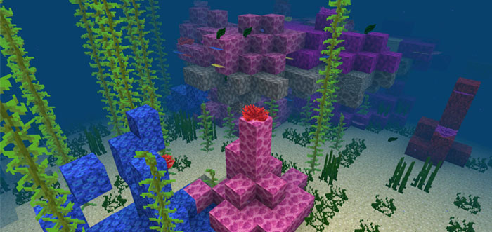 -560637684: Coral Reef Near Spawn Seed (Beta Only) | Minecraft PE Seeds