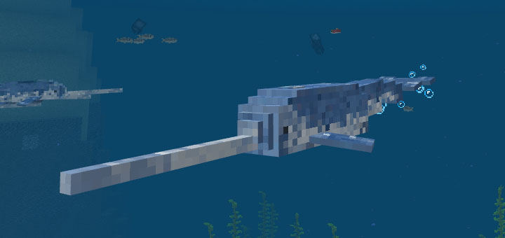 Narwhal Addon Minecraft Pe Mods And Addons