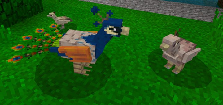 Peafowl Add-on (1.8+ Only) | Minecraft PE Mods & Addons