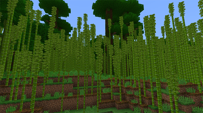 Bamboo Forest Pandas 1 9 Only Minecraft Pe Seeds