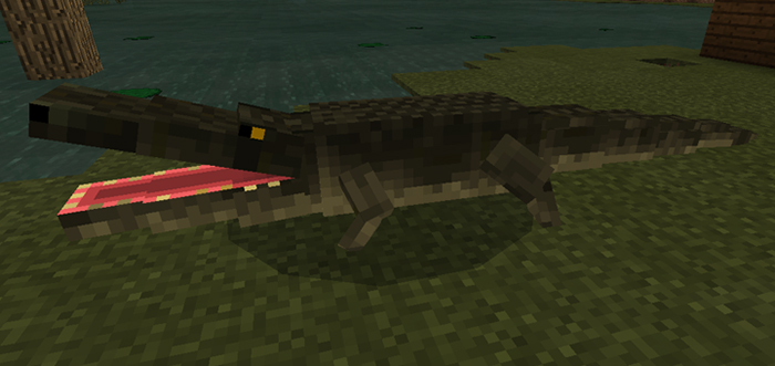 Alligator Add On 19 Only Minecraft Pe Mods And Addons