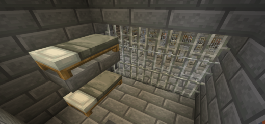 Prison Break