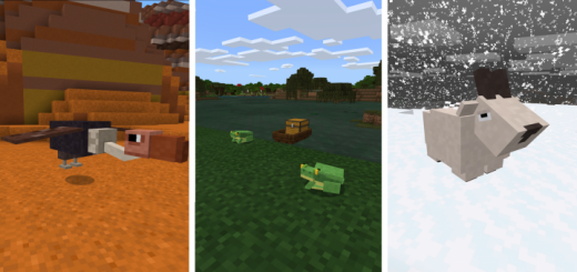 Biome Chooser 19 Concept (Addon)